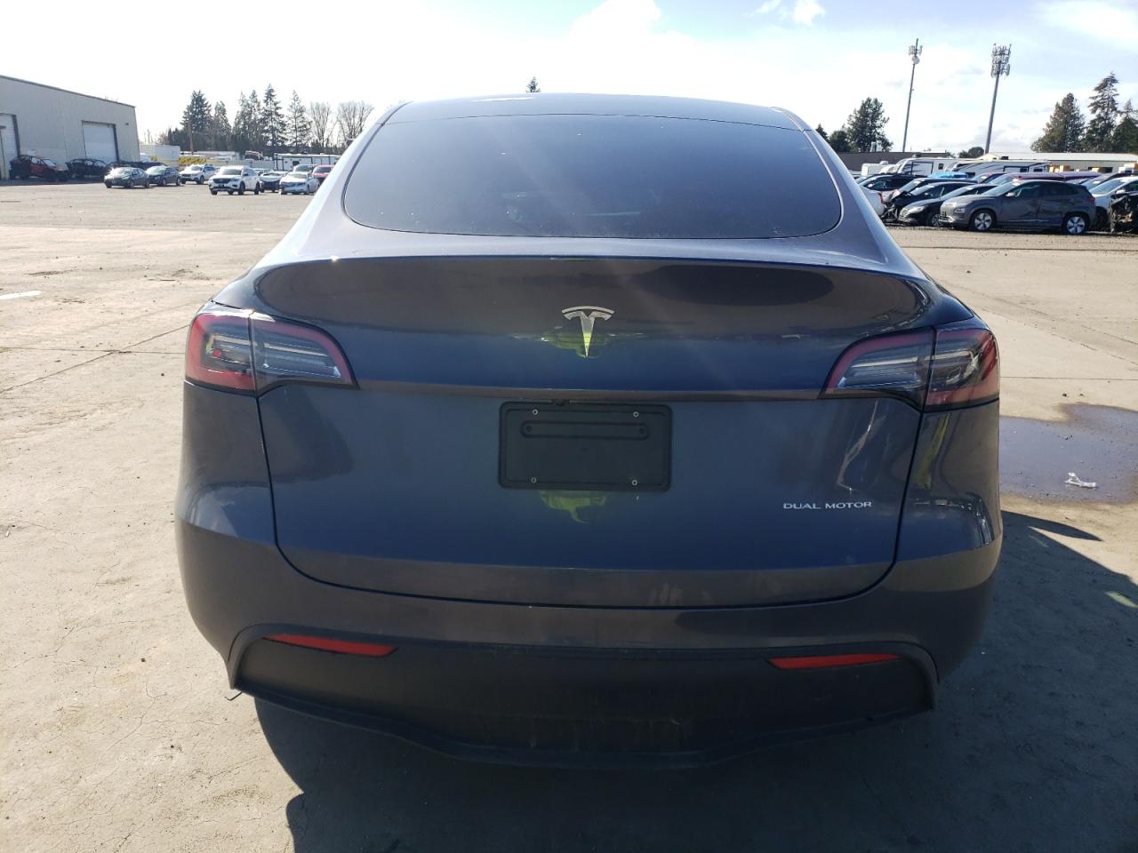 2023 TESLA MODEL Y  VIN:7SAYGDEE9PF862819