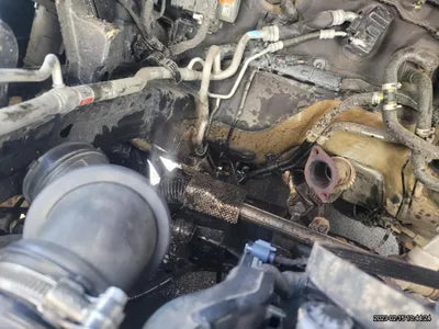 2021 Kia Carnival KNANC81BBMS075726 VIN:KNANC81BBMS075726
