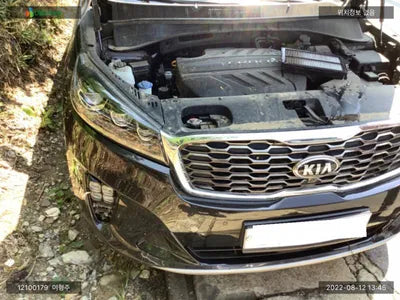2019 Kia Sorento KNAPS81ABLA610605 VIN:KNAPS81ABLA610605