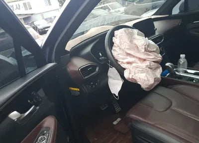 2019 Hyundai Santa FE KMHS581BBKU079646 VIN:KMHS581BBKU079646