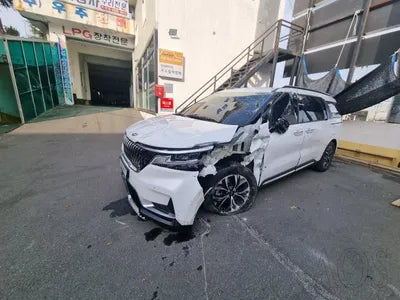 2020 Kia Carnival KNANC81BBMS015175 VIN:KNANC81BBMS015175