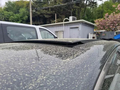 2020 Genesis G70 KMTG341ADLU072207 VIN:KMTG341ADLU072207