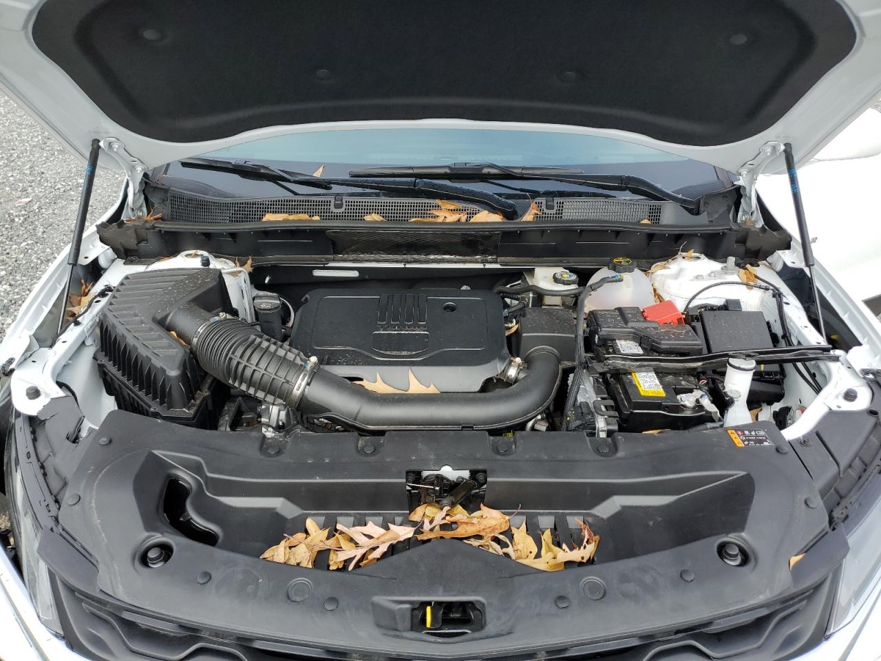 2024 CHEVROLET BLAZER 2LT VIN:3GNKBCR40RS268859