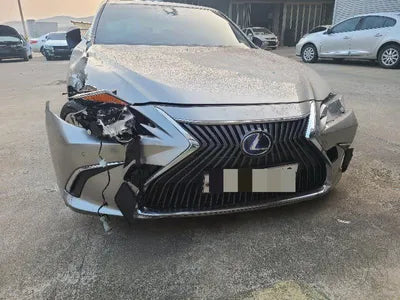 2021 Lexus ES 300 JTHBA1C19M2004041 VIN:JTHBA1C19M2004041