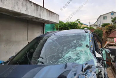 2023 Kia Carnival KNANE81BBPS334427 VIN:KNANE81BBPS334427