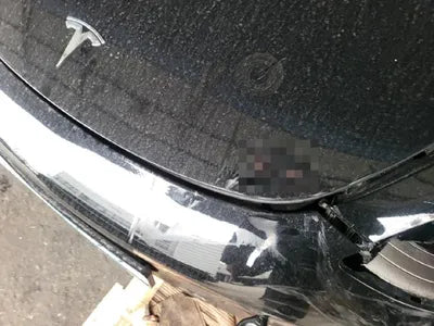 2022 Tesla Model 3 VIN: