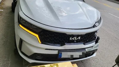 2022 Kia Sorento KNARL81GBNA106902 VIN:KNARL81GBNA106902