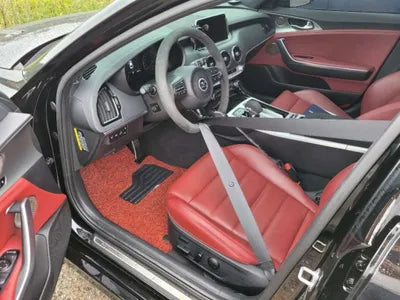 2020 Kia Stinger KNAE351ABLS084289 VIN:KNAE351ABLS084289