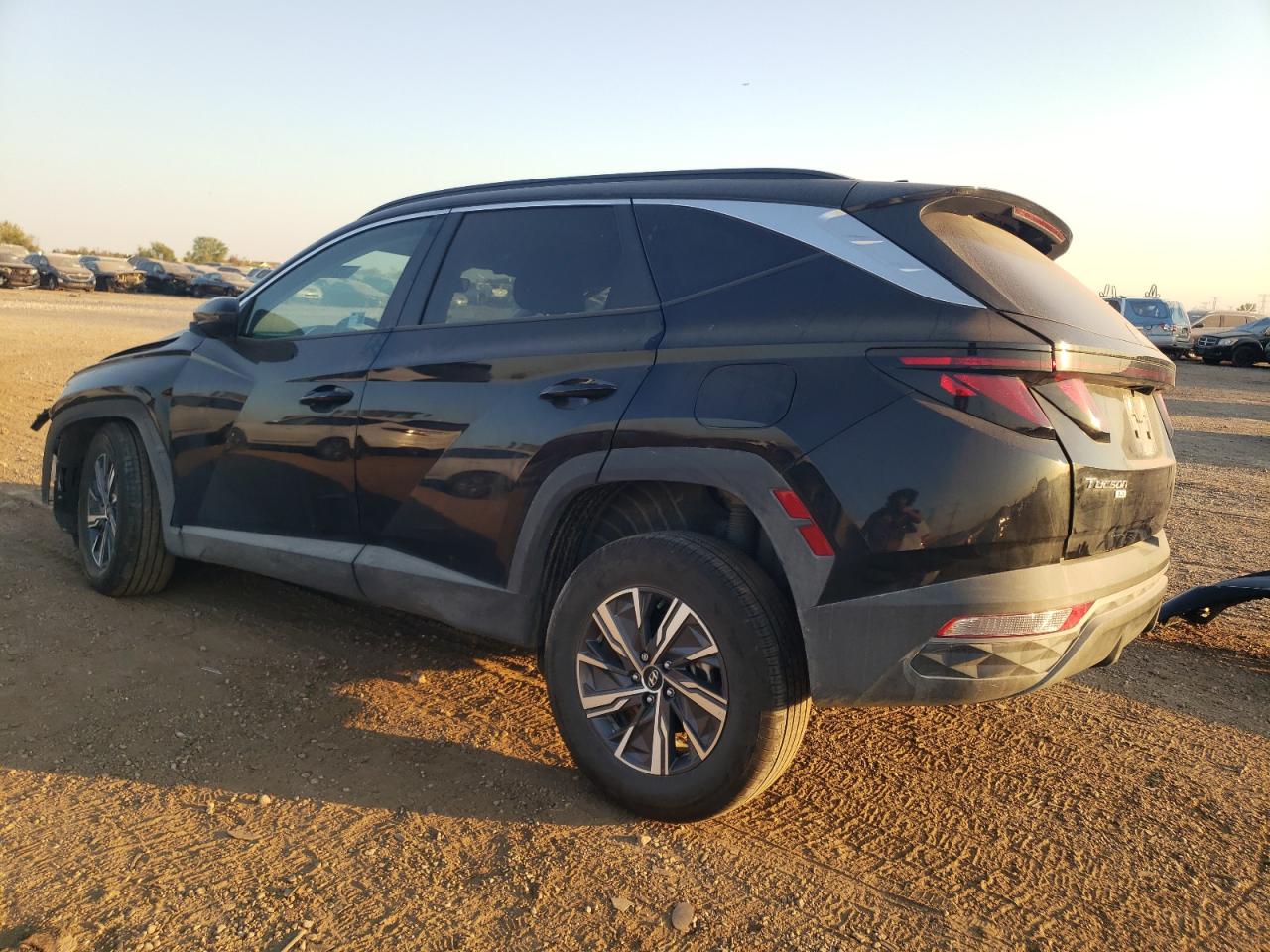 2024 HYUNDAI TUCSON BLUE VIN:KM8JBCD18RU158753