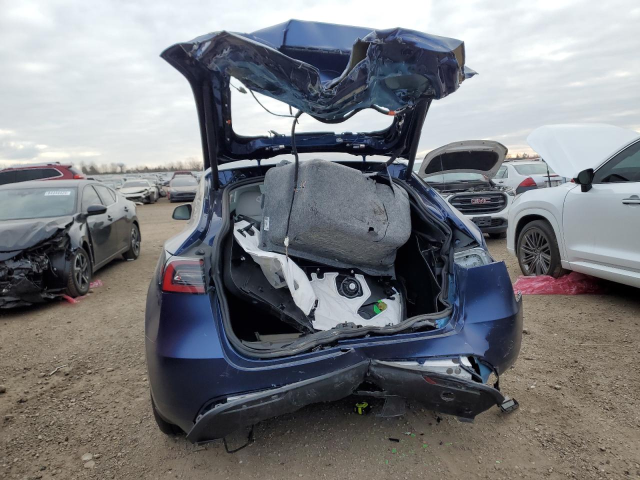 2023 TESLA MODEL Y  VIN:7SAYGDEFXPF852079