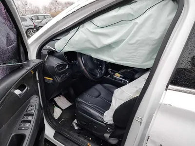 2019 Hyundai Santa FE KMHS581CBKU116989 VIN:KMHS581CBKU116989