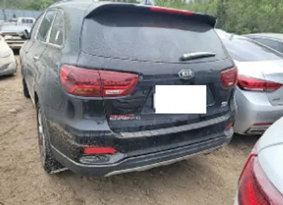 2019 Kia Sorento KNAPK81ADKA509395 VIN:KNAPK81ADKA509395