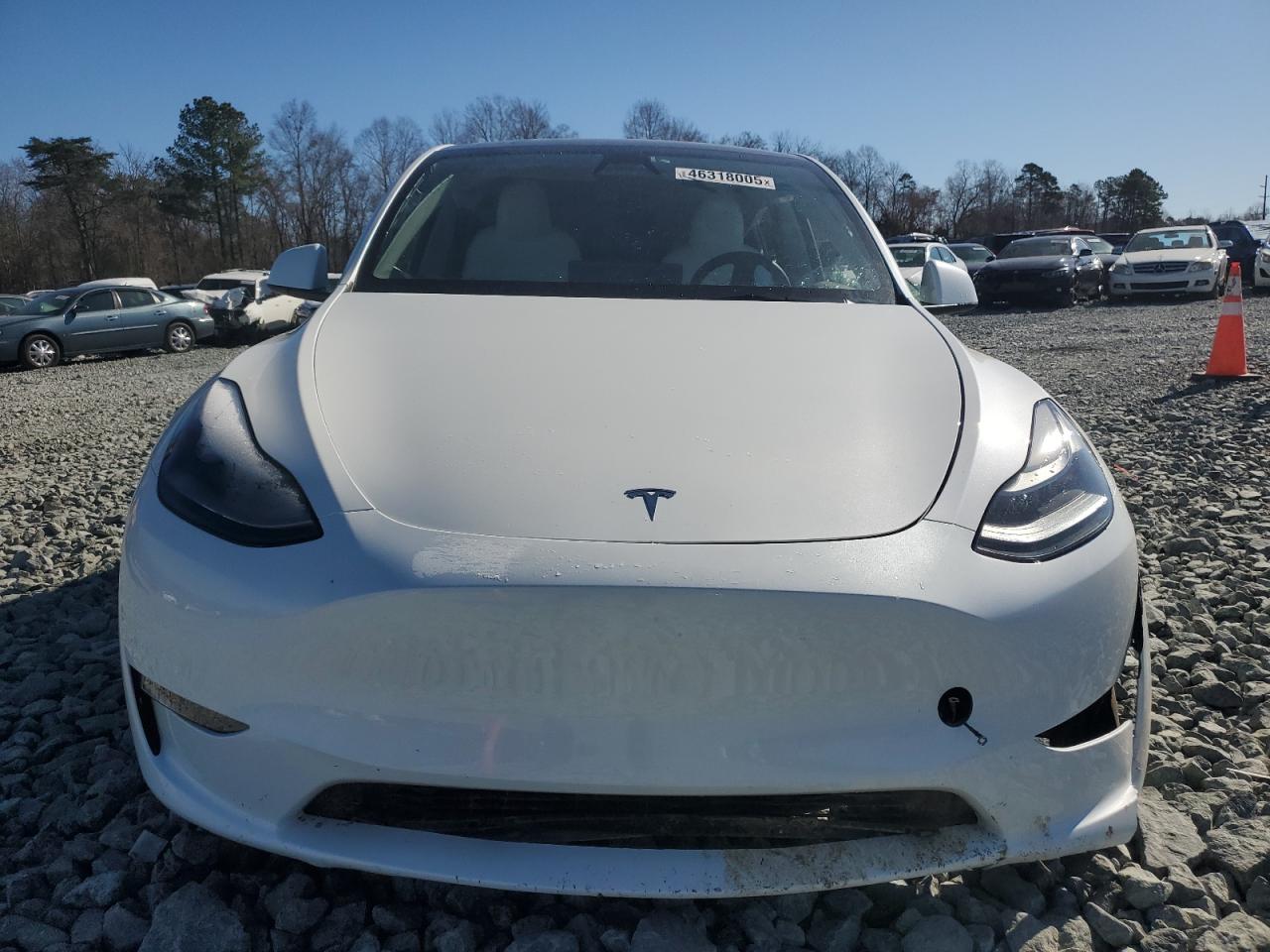 2023 TESLA MODEL Y  VIN:7SAYGDEF2PF911013