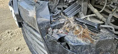 2016 Toyota Camry 231KM4T1BD1FK6GU1 VIN:231KM4T1BD1FK6GU1