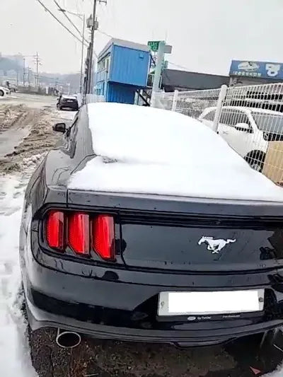 2017 Ford Mustang 1FA6P8TH4H5319413 VIN:1FA6P8TH4H5319413