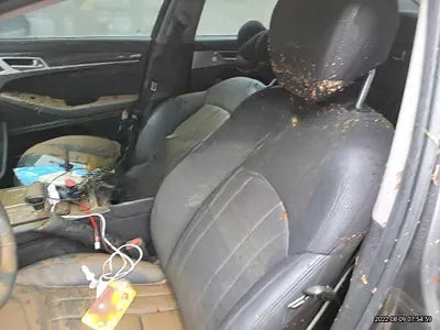 2018 Genesis G80 NONE VIN: