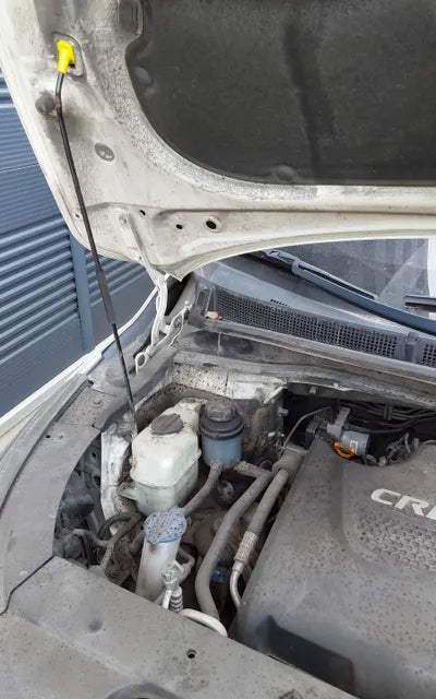 2016 Kia Carnival KNAMB81ABHS293937 VIN:KNAMB81ABHS293937