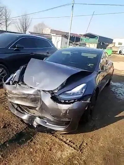2020 Tesla Model 3 5YJ3E1EBXLF768864 VIN:5YJ3E1EBXLF768864