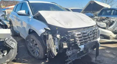 2021 Hyundai Tucson KMHJE811BMU009800 VIN:KMHJE811BMU009800