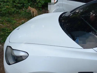 2022 Tesla Model 3 VIN: