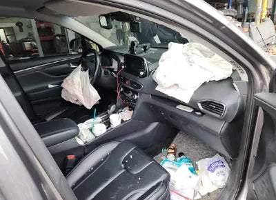 2020 Hyundai Santa FE KMHS281BBLU187597 VIN:KMHS281BBLU187597