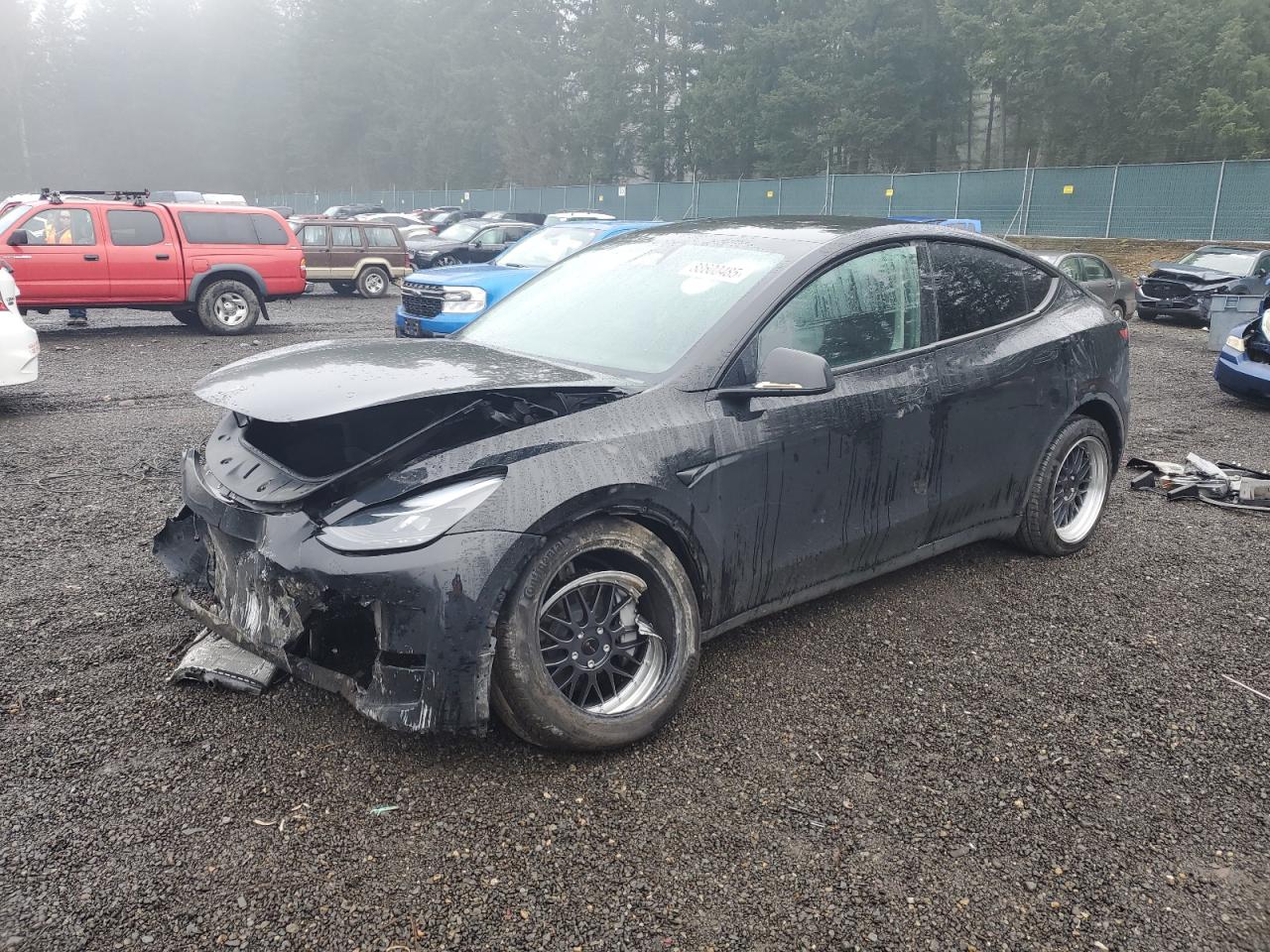 2023 TESLA MODEL Y  VIN:7SAYGDEE0PF926309