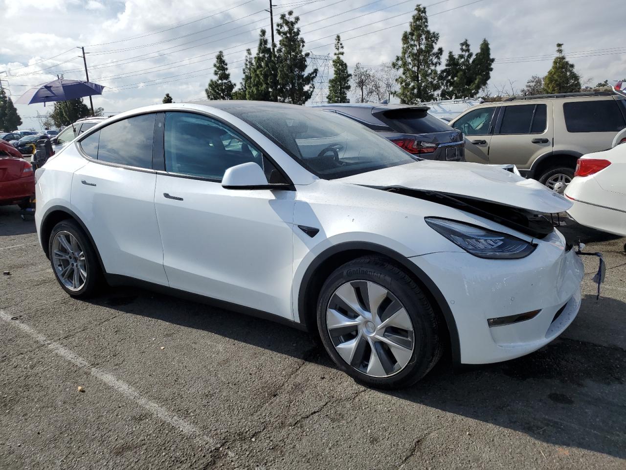 2022 TESLA MODEL Y  VIN:7SAYGDEE6NF307193