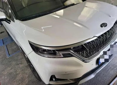 2020 Kia Carnival KNANC81BBMS021671 VIN:KNANC81BBMS021671