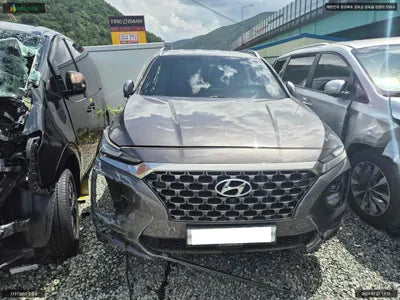 2019 Hyundai Santa FE KMHS581BDKU176768 VIN:KMHS581BDKU176768