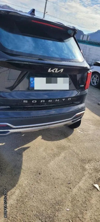 2022 Kia Sorento KNARJ81GBNA090208 VIN:KNARJ81GBNA090208