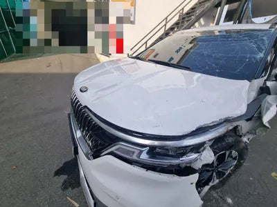 2020 Kia Carnival KNANC81BBMS015175 VIN:KNANC81BBMS015175