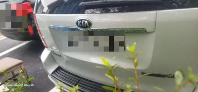 2014 Kia Carnival VIN: