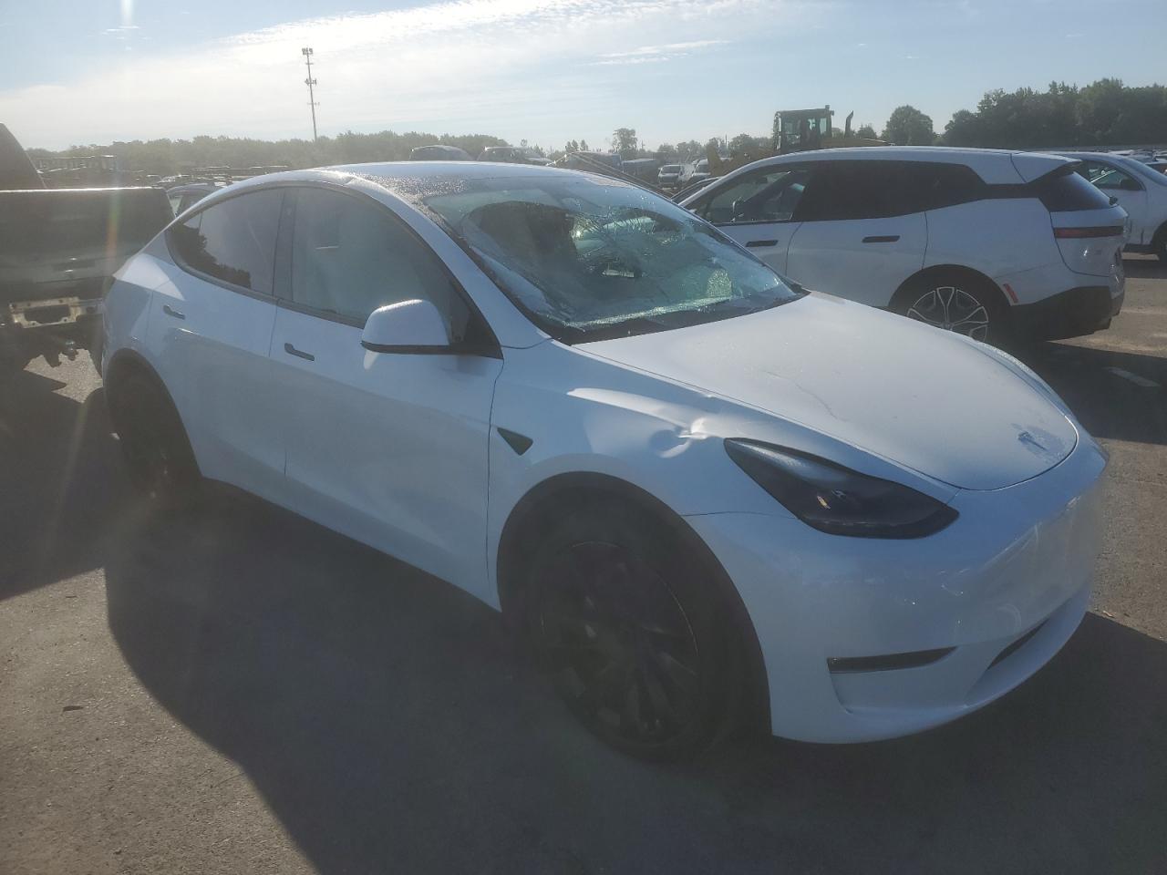 2023 TESLA MODEL Y  VIN:7SAYGAEEXPF664569