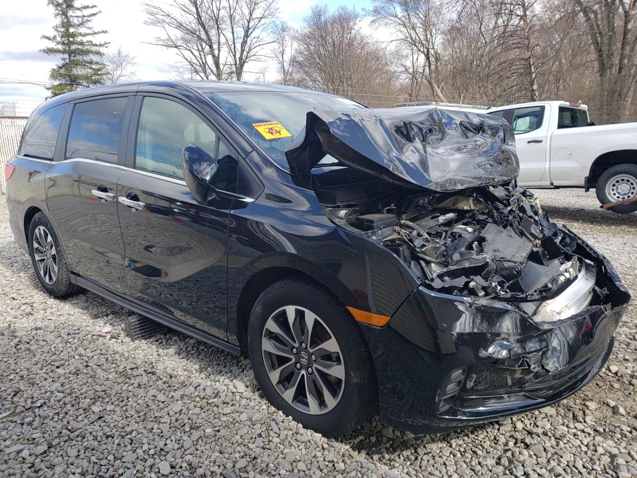 2023 HONDA ODYSSEY EXL VIN:5FNRL6H69PB048988
