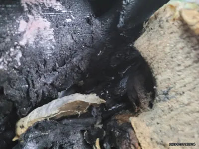 2016 Audi Q5 WAUZZZ8R0GA050175 VIN:WAUZZZ8R0GA050175