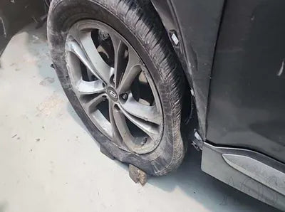 2019 Hyundai Santa FE KMHS581CBKU165840 VIN:KMHS581CBKU165840