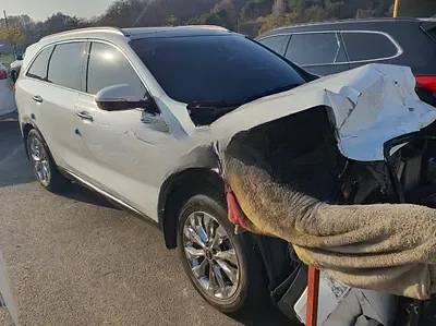 2018 Kia Sorento NONE VIN:
