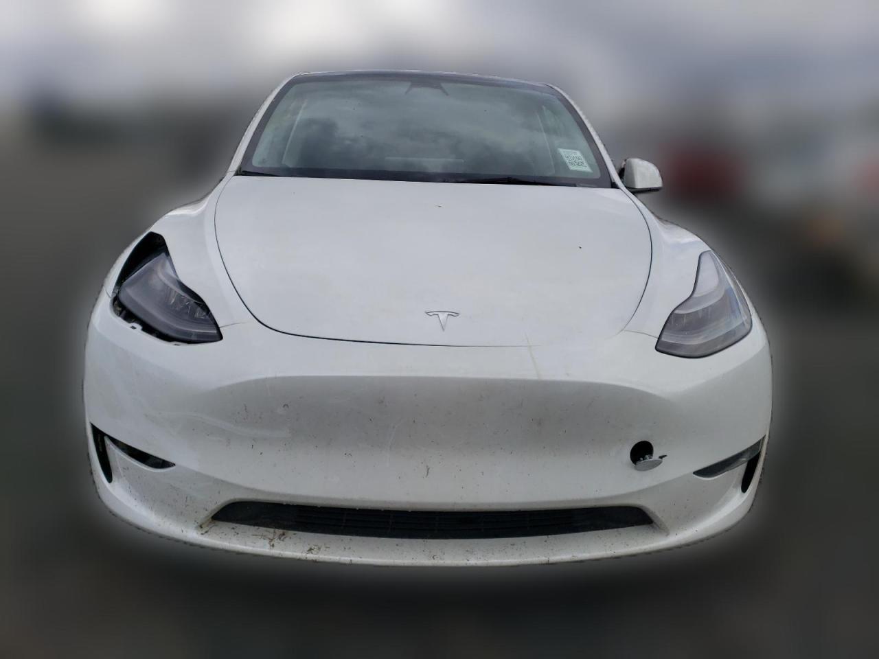 2023 TESLA MODEL Y  VIN:7SAYGDEE5PF661869