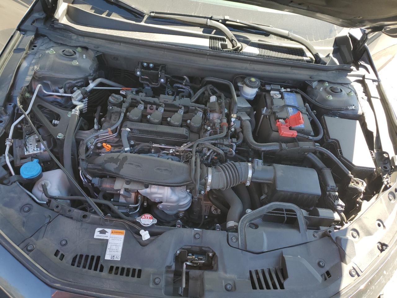 2024 HONDA ACCORD LX VIN:1HGCY1F29RA011981
