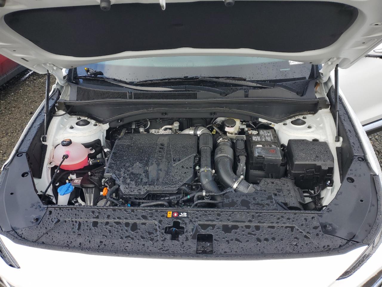 2023 HYUNDAI SANTA FE LIMITED VIN:5NMS4DAL8PH649018