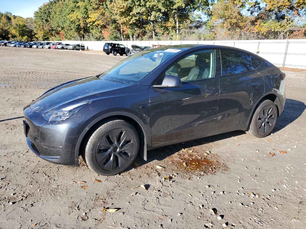 2024 TESLA MODEL Y  VIN:7SAYGDEE1RF165535