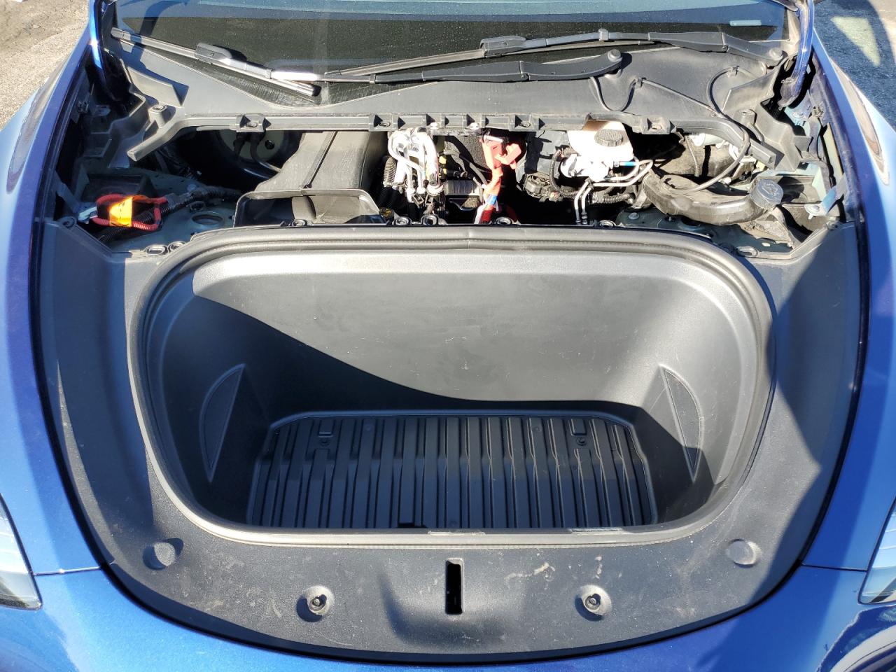 2023 TESLA MODEL Y  VIN:7SAYGDEEXPA057571