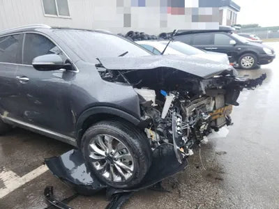 2019 Kia Sorento KNAPS81BBKA545743 VIN:KNAPS81BBKA545743