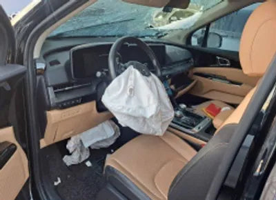 2021 Kia Carnival KNANC81BBMS018195 VIN:KNANC81BBMS018195