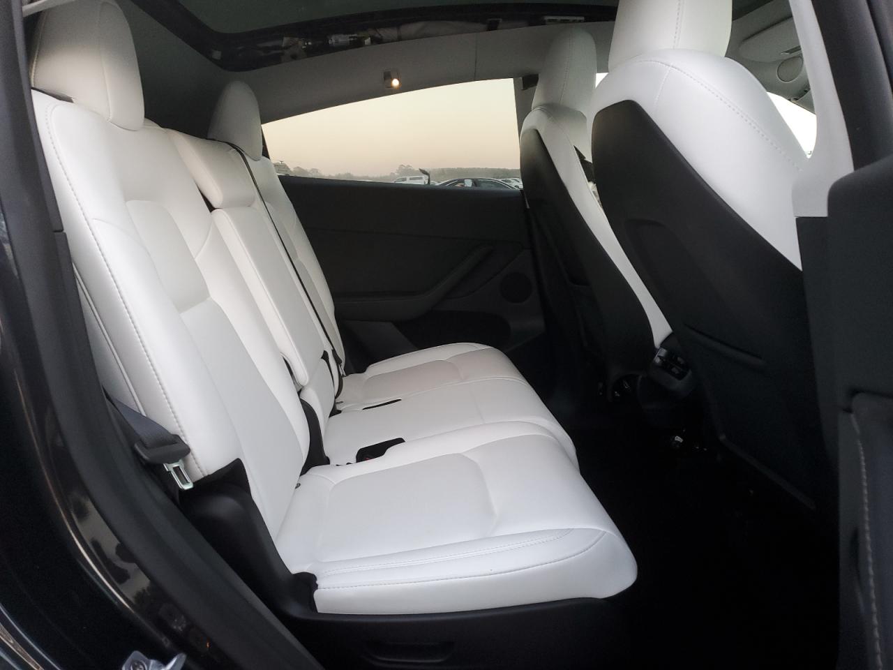2024 TESLA MODEL Y  VIN:7SAYGAEE9RF131809