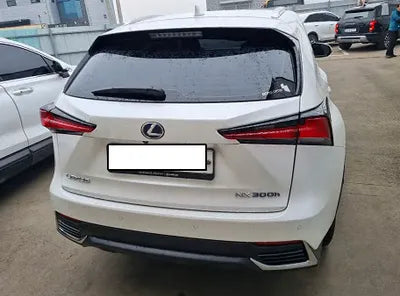 2019 Lexus NX 300 JTJBJRBZ9K2119465 VIN:JTJBJRBZ9K2119465