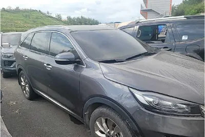 2019 Kia Sorento KNAPS81BBKA499609 VIN:KNAPS81BBKA499609