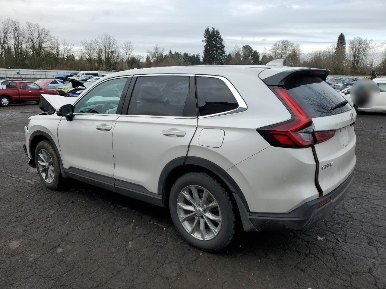 2024 HONDA CR-V EXL VIN:5J6RS4H7XRL012110