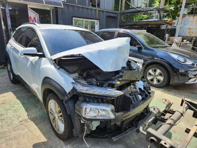 2018 Hyundai Kona KMHK4815GJU062598 VIN:KMHK4815GJU062598