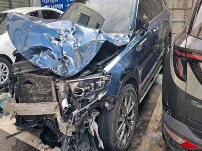 2021 Kia Sorento KNARH81BGMA062553 VIN:KNARH81BGMA062553
